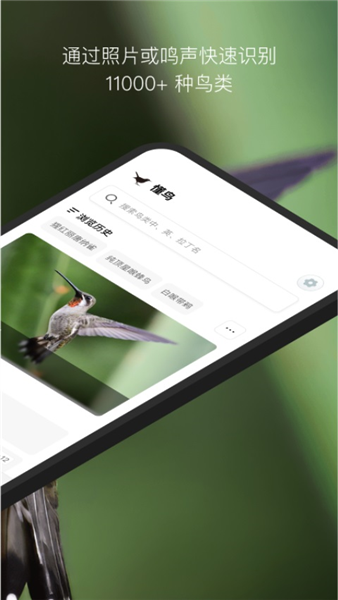 懂鸟截图