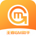 王者GM助手
