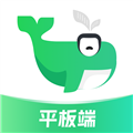小绿鲸