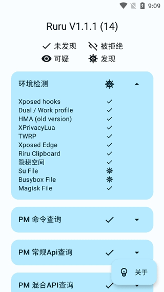 ruru环境检测截图