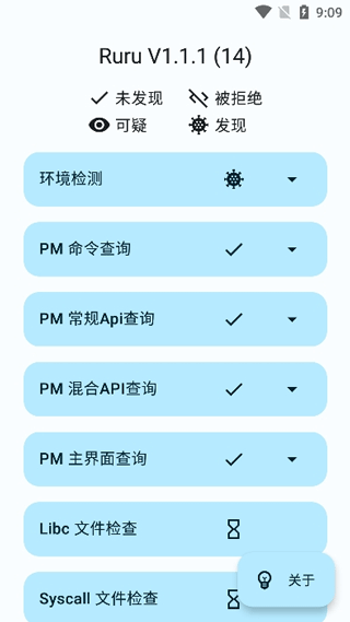 ruru环境检测截图