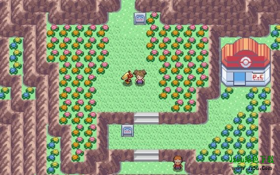 PokeMMO汉化语言包