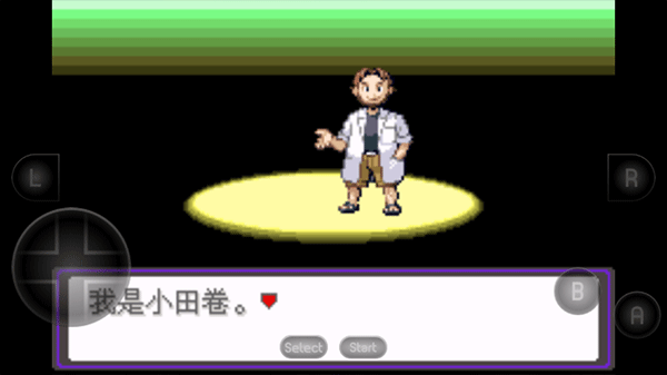 口袋妖怪漆黑的魅影9.0版截图