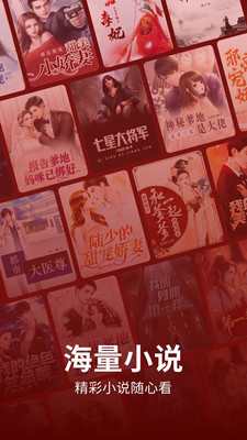 皮皮小說 安卓版截圖