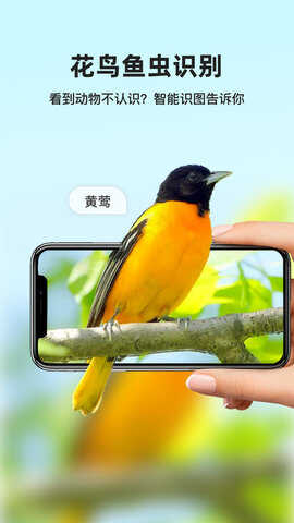 智能識圖截圖