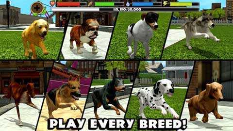 龙岛异兽测试服截图