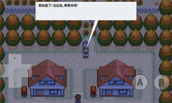 口袋妖怪绝对黑