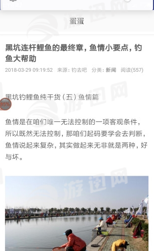 蛋蛋贊