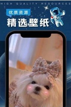 全局透明皮肤截图1